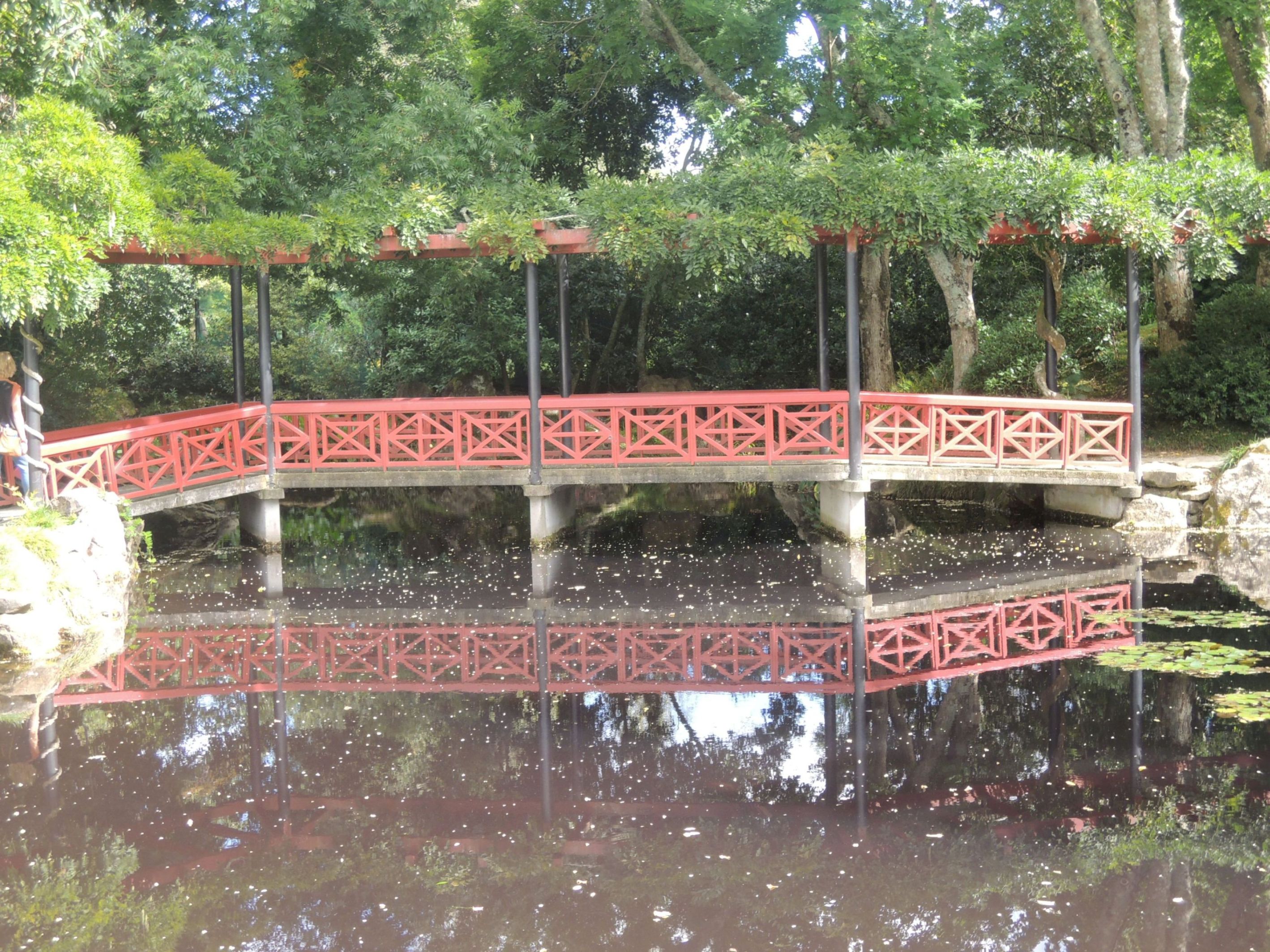 Čínska záhrada umelcov - mostík
