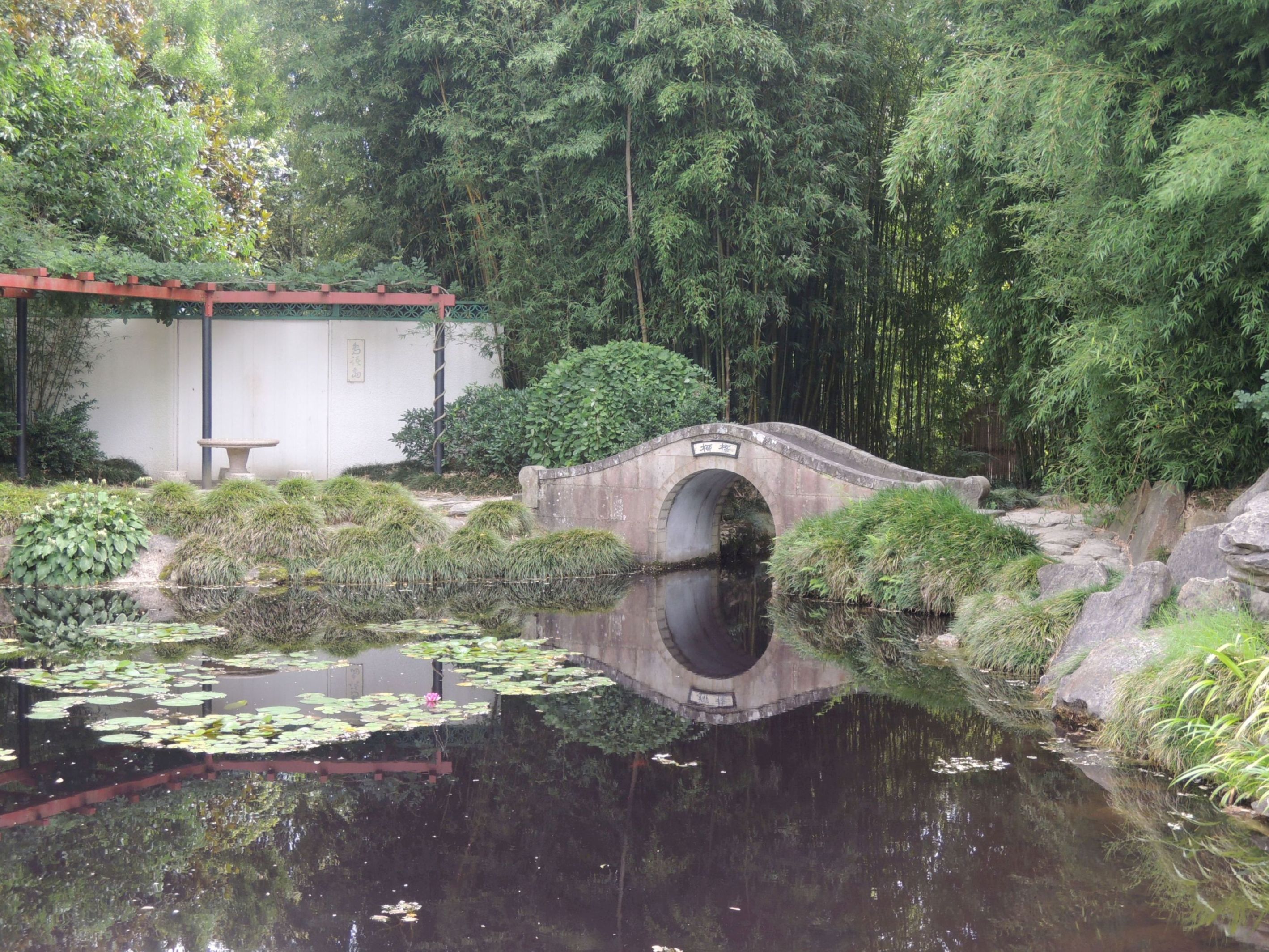 Čínska záhrada umelcov - vlnitý mostík