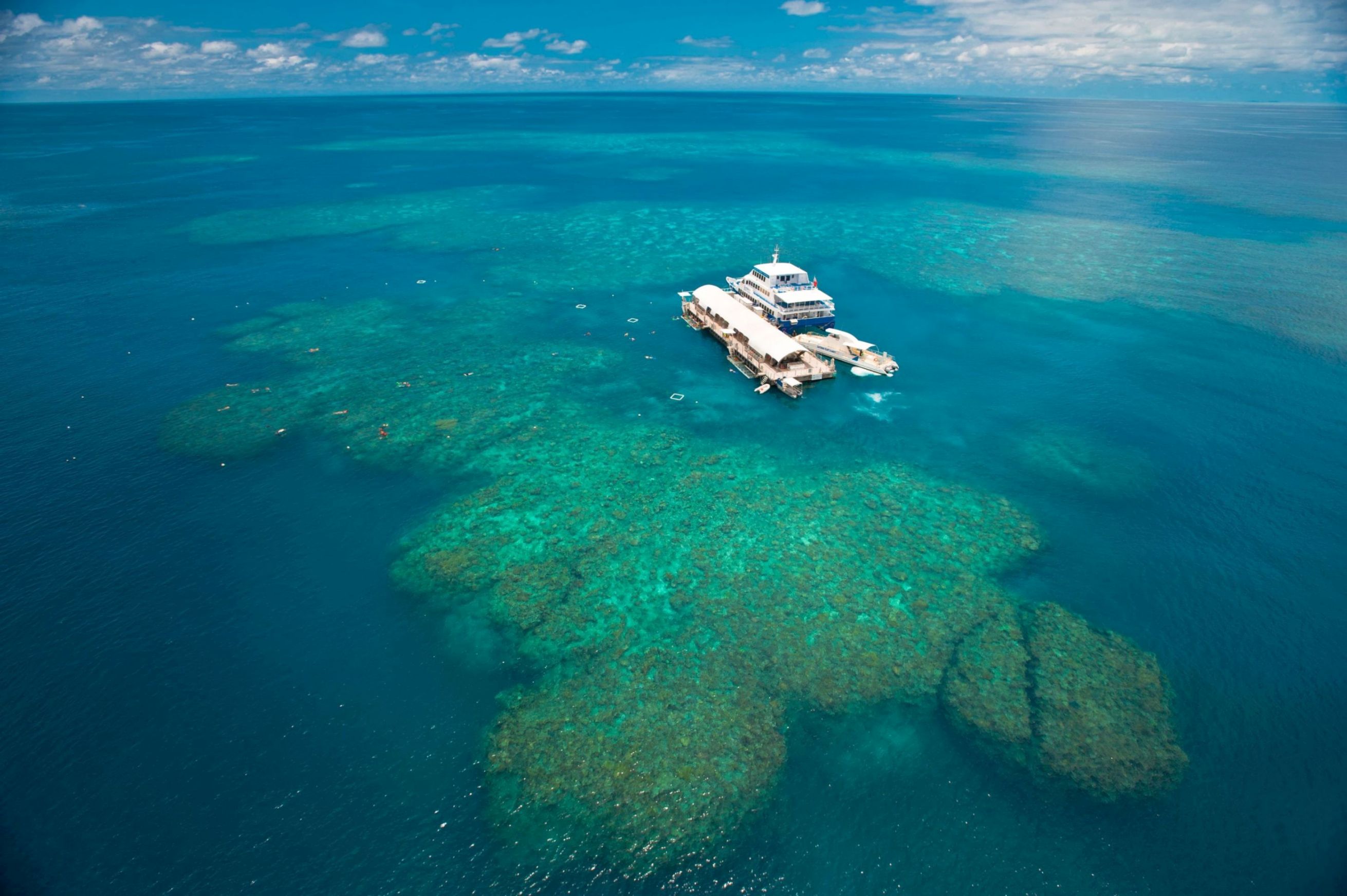 Šnorchlovacia zóna okolo koralového útesu (Promo fotka Sunlover Reef Cruises)